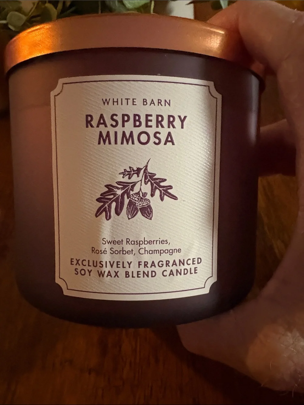 Nwt “Raspberry Mimosa” 3 Wick Candle from White Barn